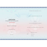 Лечебное дело – 288 ч.