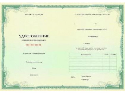 Актуальные вопросы функциональной диагностики Актуальные вопросы функциональной диагностики